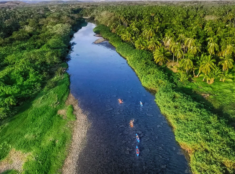 Kayaking the Troncones estuary with birds